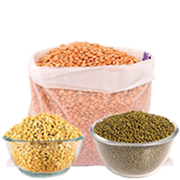dal-pulses